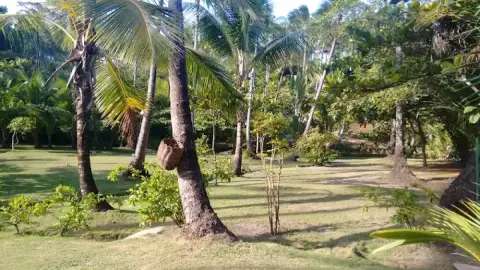 Foto 2 de Camping Rai Luc - Itacaré - Bahia